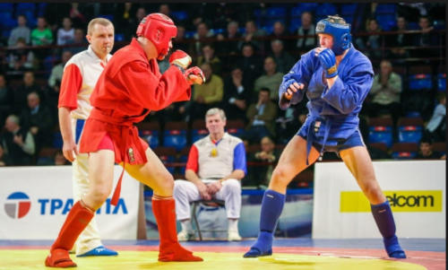 sambo-sportif-a-quimper